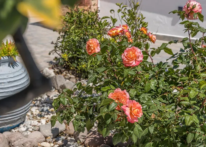 Miloessa Apartmán Adamantas (Milos)